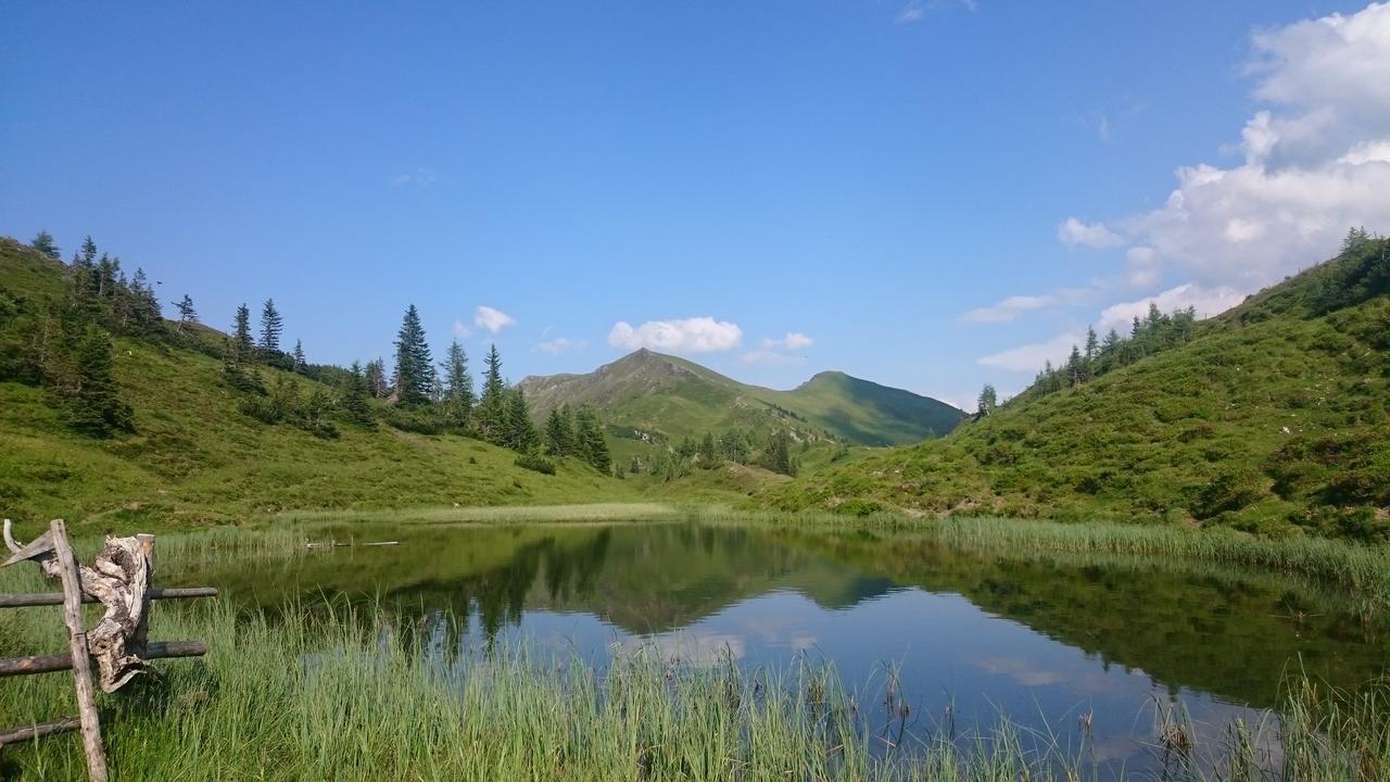 Appartementhaus Unterkofler Grossarl Bagian luar foto